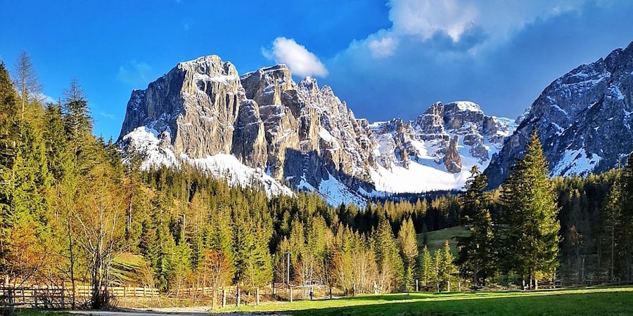 Realizzazione portale web, Creazione siti internet, Web agency designer